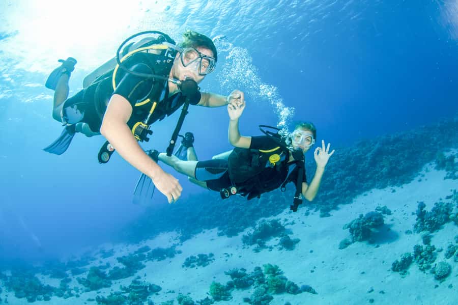 From Dubai: Discovery Scuba Diving & Snorkeling In Fujairah - Snorkeling gives you a second way to enjoy the coast