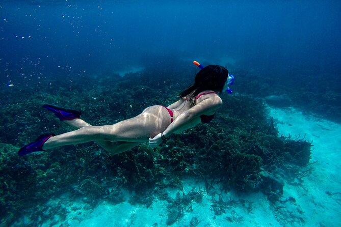 From Dubai: Discovery Scuba Diving & Snorkeling trip in Fujairah - From Dubai to Dibba Al-Fujairah