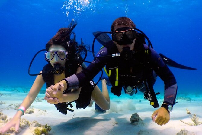 From Dubai: Discovery Scuba Diving & Snorkeling trip in Fujairah - What the snorkeling adds