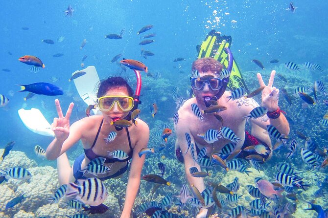 From Dubai: Discovery Scuba Diving & Snorkeling trip in Fujairah - Getting ready with Nemo Diving Center