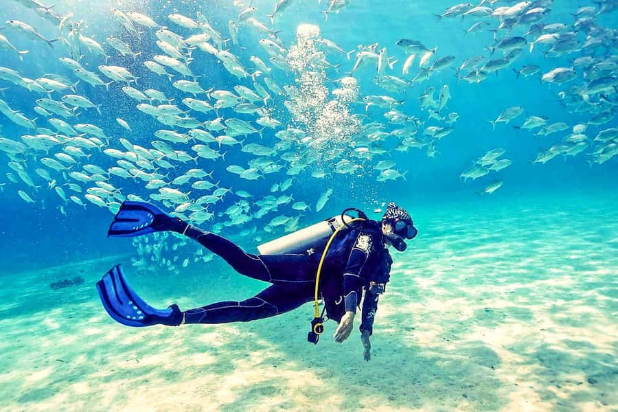 From Dubai: Fujairah Half-Day Scuba Dive and Snorkeling - Key points to know before you book