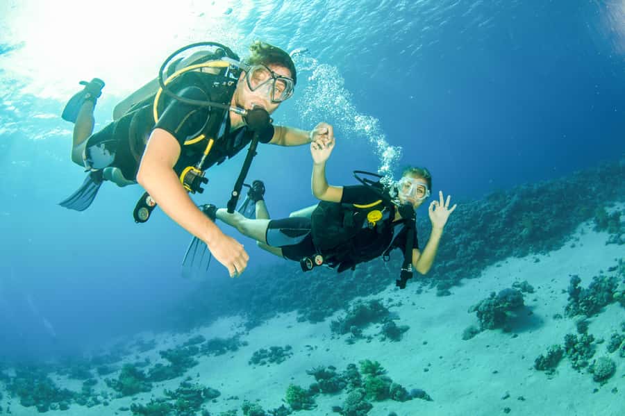 From Dubai: Fujairah Half-Day Scuba Dive and Snorkeling - Getting kitted out in Fujairah