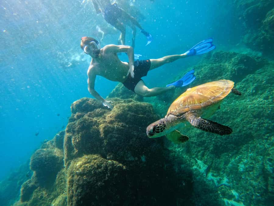 From Dubai: Fujairah Snorkeling with Turtles, Transfer & BBQ - Al Bidya Mosque, Khorfakkan Waterfall, and the amphitheatre