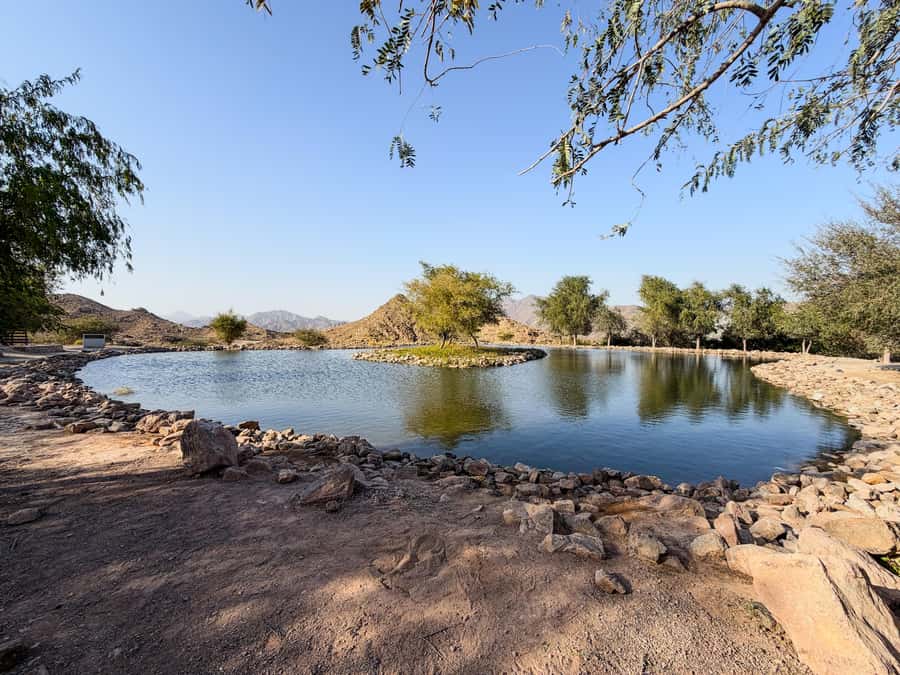 From Dubai: Hatta Sightseeing Tour with kayaking - Transport, group size, and the $61 question