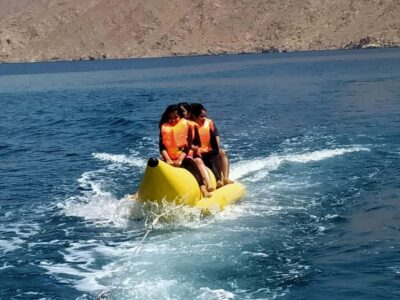 From Dubai/Sharjah/RAK: Dibba Musandam Trip & Dhow Cruise