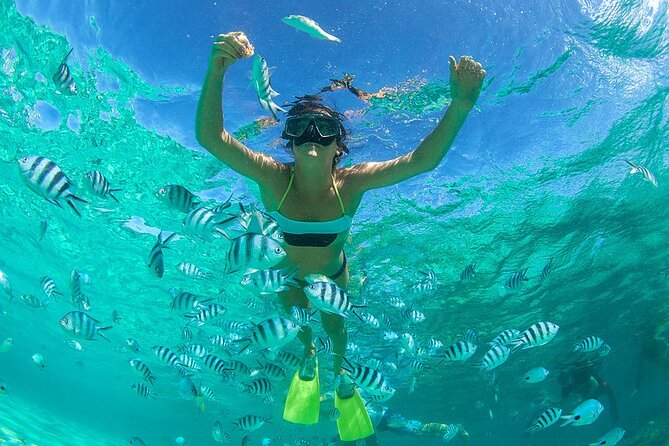 From Dubai: Snorkeling trip in Fujairah - The key points at a glance