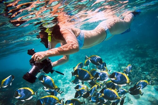 From Dubai: Snorkeling trip in Fujairah - From Dubai to Fujairah by road
