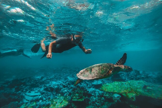 From Dubai: Snorkeling trip in Fujairah - What to bring from Dubai