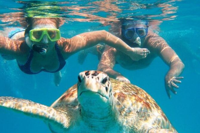 From Dubai: Snorkeling trip in Fujairah - Getting ready with Nemo Diving Center