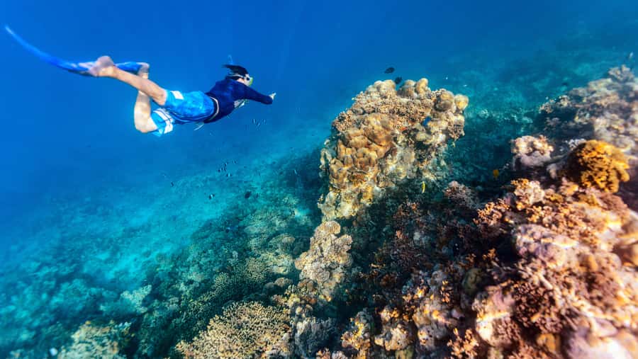 From Dubai: Snorkeling Trip to Dibba Al-Fujairah - How beginner-friendly is the water?