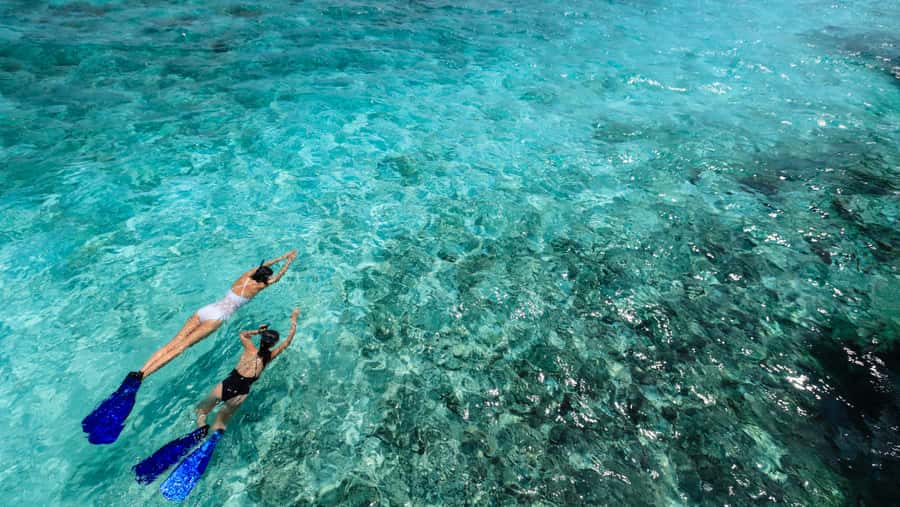 From Dubai: Snorkeling Trip to Dibba Al-Fujairah - Small details that can make the day better