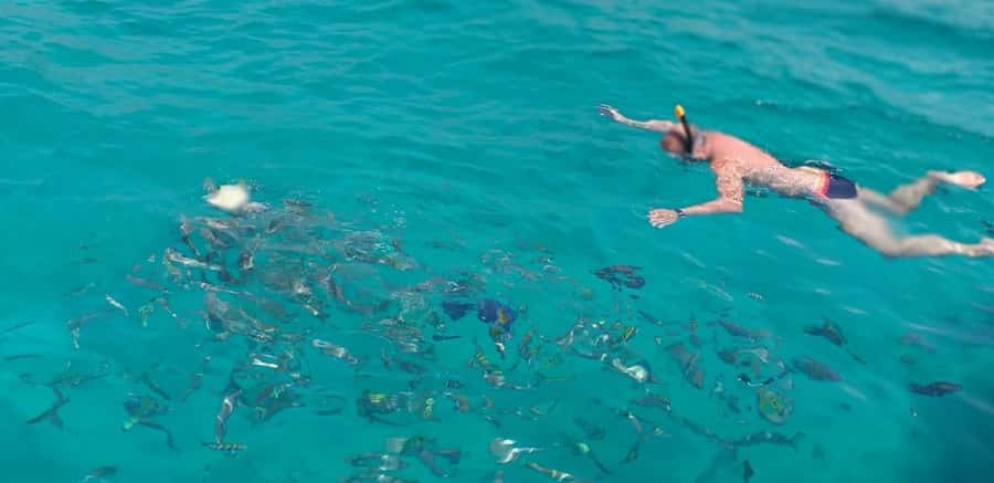 From Dubai to Norway of Arabia|Telegraph Island| Dhow Cruise - Telegraph Island: history beside clear water