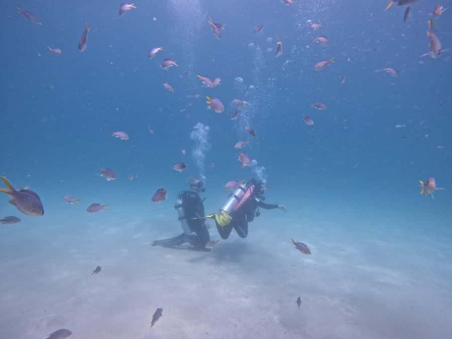 From Dubai: Try Scuba Diving, Snorkeling with BBQ & Transfer - Getting ready at Snoopy Island
