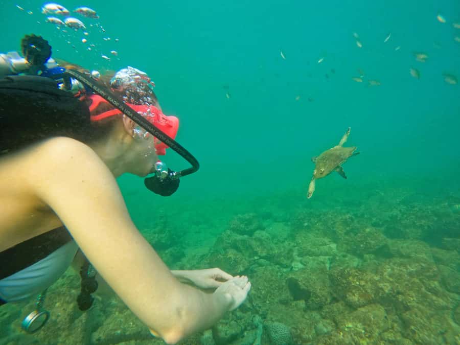 From Dubai: Try Scuba Diving, Snorkeling with BBQ & Transfer - What to pack for a comfortable day