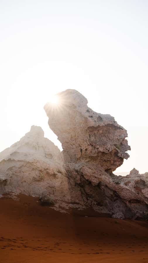 From Dubai: Zerzura Dune Buggy Experience & Fossil Discovery - Safety, weather, and who should book