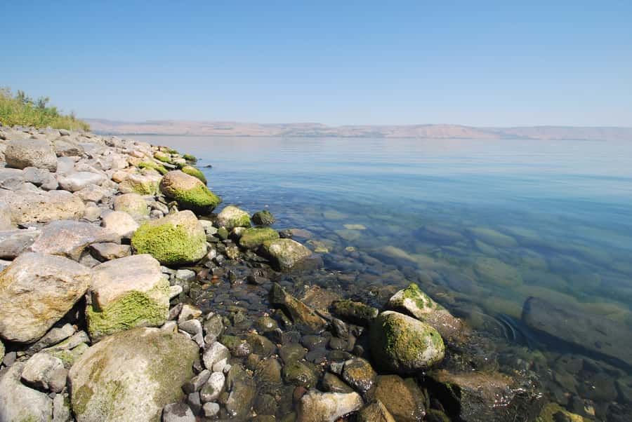 From Haifa: Guided Day Trip to Nazareth and Sea of Galilee - Tabgha and the Multiplication Church