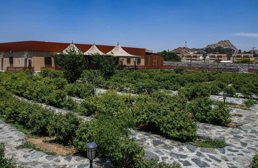 From Jeddah: Taif Exploration Tour with Lunch - Jebel Daka reaches Taif’s high country