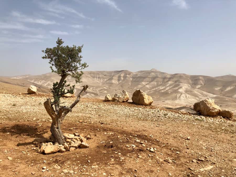 From Jerusalem: Jericho and Jordan River Half-Day Trip - Mount of Temptation and the approach to Jericho