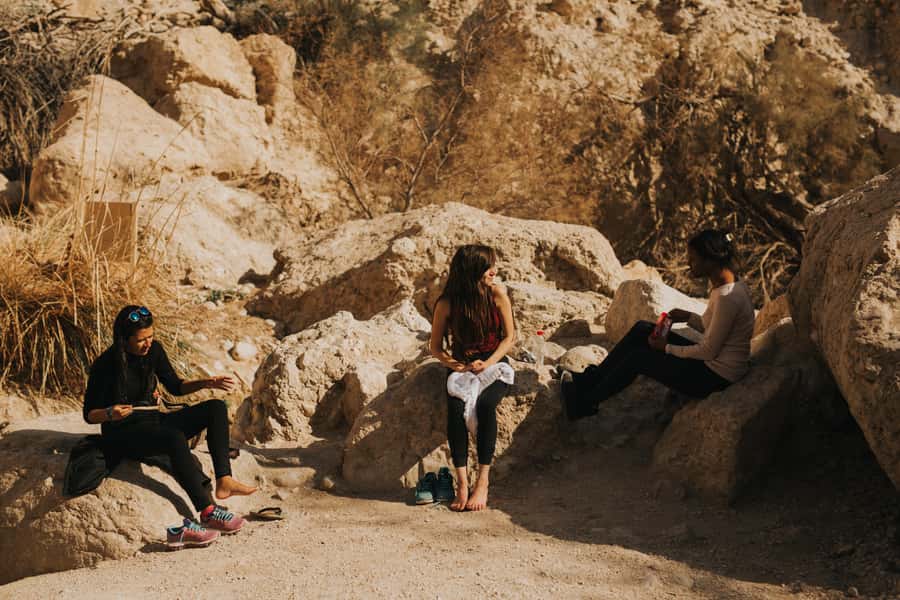 From Jerusalem: Masada at Sunrise, Ein Gedi & Dead Sea Tour - The self-guided format gives you freedom, with limits