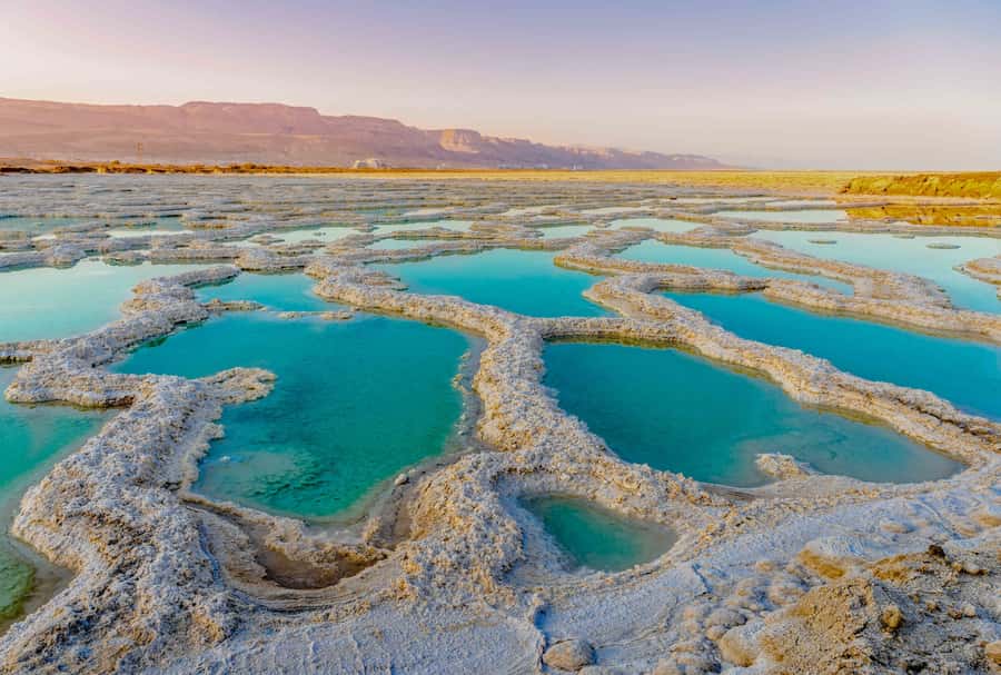From Jerusalem: Masada&Dead Sea Tour INCLUDING ENTRANCE FEES - Masada by cable car