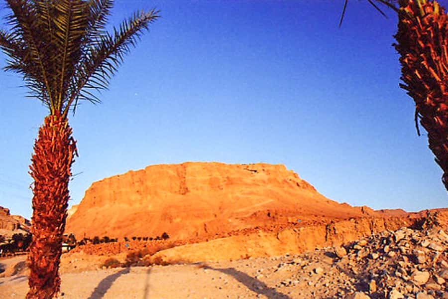 From Jerusalem: Masada&Dead Sea Tour INCLUDING ENTRANCE FEES - Floating at the lowest point on dry land