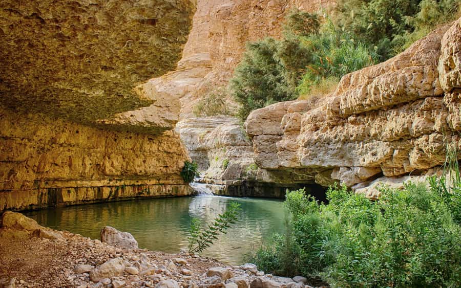 From Jerusalem: Masada Sunrise, Ein Gedi & Dead Sea Day Trip - Key points to know before booking