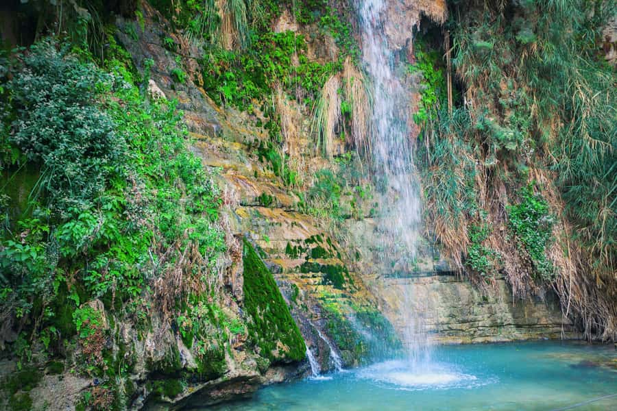From Jerusalem: Masada Sunrise, Ein Gedi & Dead Sea Day Trip - Floating at the Dead Sea