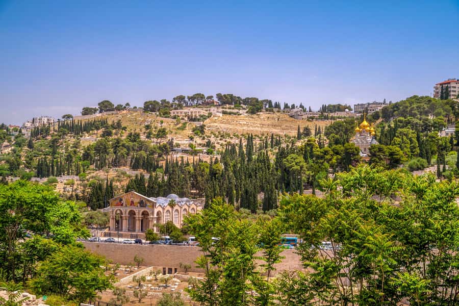 From Jerusalem Small group tour Old&New City ENTRY FEES INCL - Mount of Olives supplies the view you need
