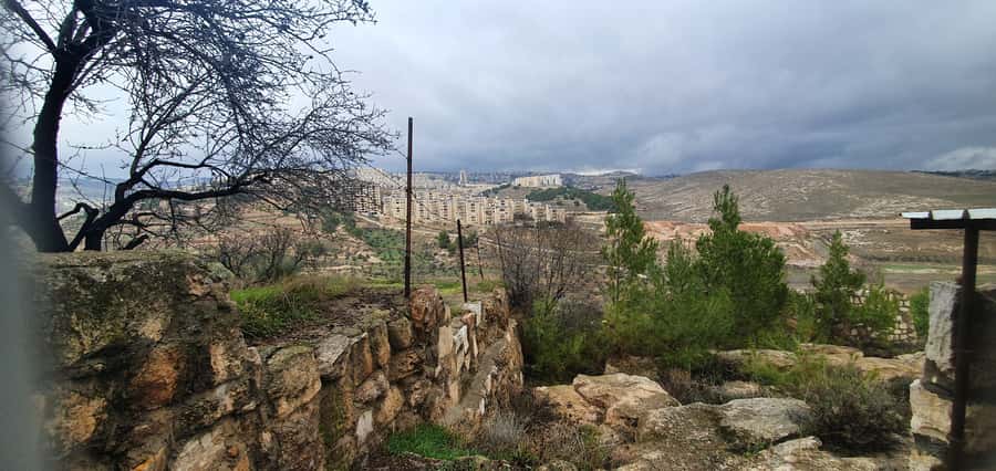 From Jerusalem/Tel Aviv: Bethlehem and Dead Sea Day Tour - Floating at the Dead Sea