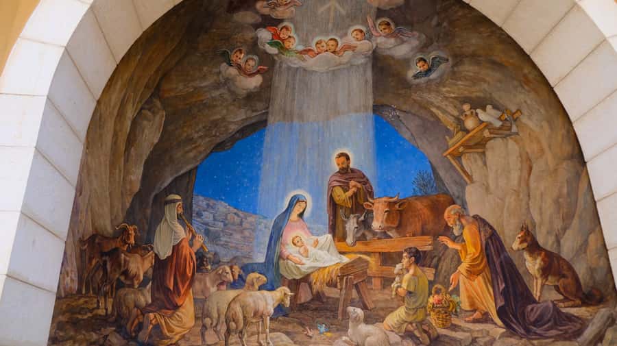 From Jerusalem/Tel Aviv: Bethlehem and Dead Sea Day Tour - Timing, shopping, and what to pack