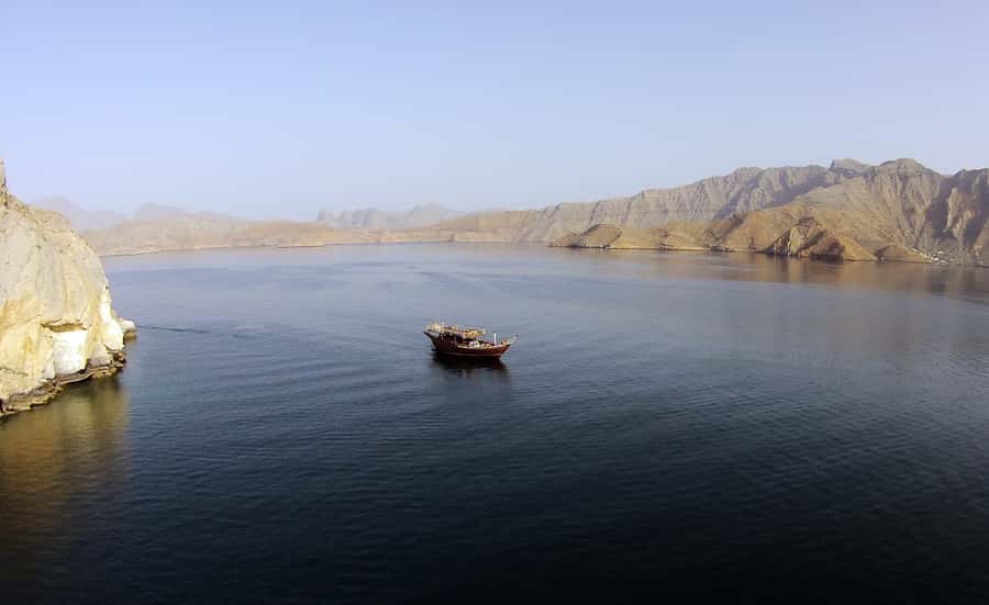 From Khasab: Fjords of Musandam Dhow Cruise & Buffet Lunch - Watching for dolphins near Khasab