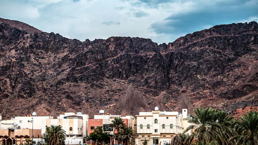 From Madinah: Half-Day Ziarah Tour - Practical advice for a smoother visit