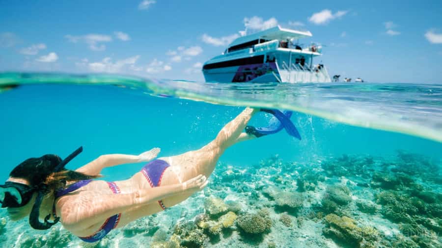 From Muscat: Dimaniyat Islands Snorkeling Tour - The first snorkeling stop is usually the highlight