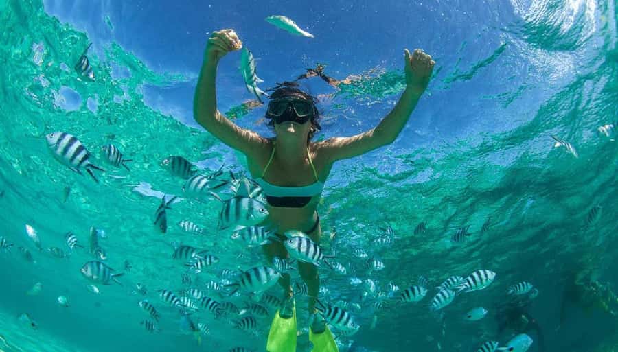 From Muscat: Dimaniyat Islands Snorkeling Tour - Who will enjoy this six-hour outing
