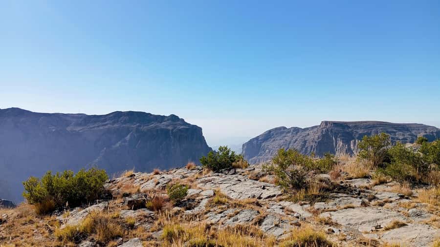 From Muscat: Nizwa and Jebel Akhdar Tour with Lunch - Nizwa Souq: dates, halwa, silver, and everyday Oman