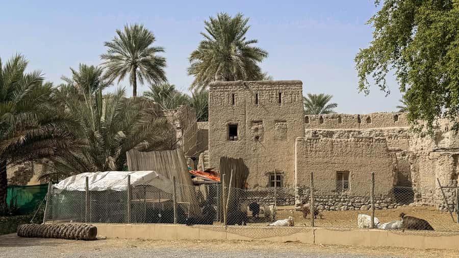 From Muscat: Nizwa and Jebel Akhdar Tour with Lunch - Nizwa Fort and the story behind the walls