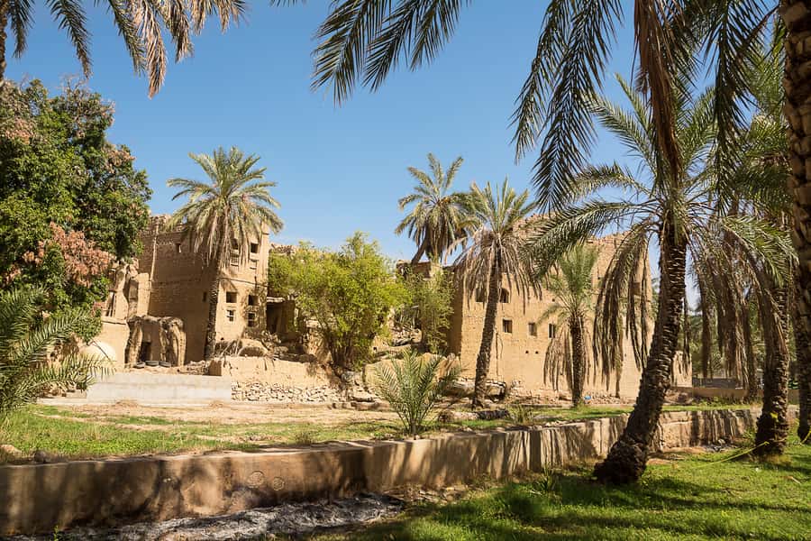 From Muscat: Nizwa and Oman's Historical Gems Tour - Al Hamra: mudbrick houses and a slower village stop