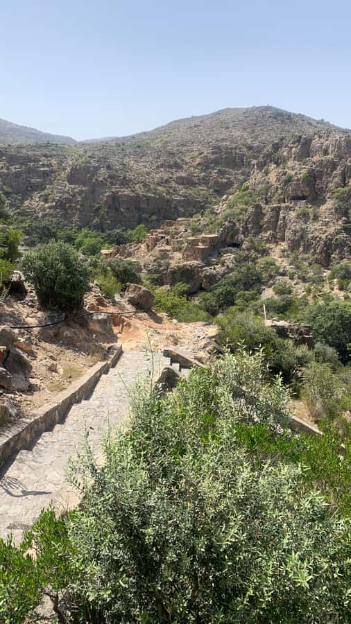 From Muscat: Private Nizwa and Jabel Akhdar-Shams with Lunch - The guides make the private format worthwhile