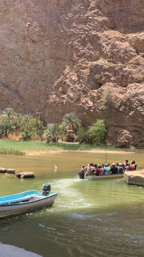 From Muscat: Wadi Shab & Sinkhole Private Tour & Free Lunch - Why this Muscat day trip works