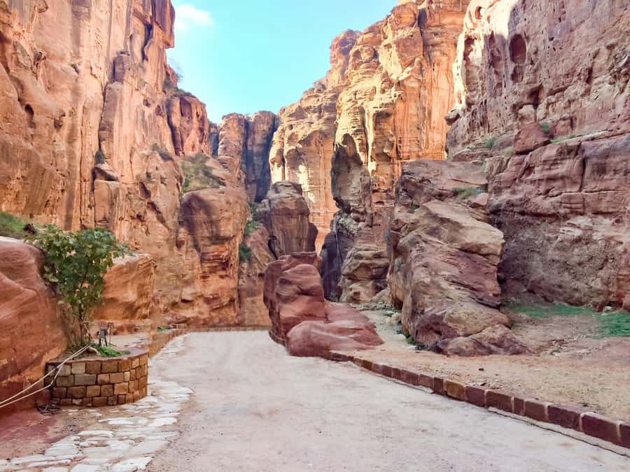 From Tel Aviv: Full-Day Trip to Petra with Roundtrip Flights - Ben Gurion to Ramon Airport before sunrise