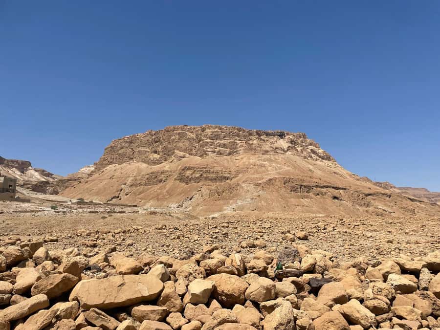 From Tel Aviv: Masada &Dead Sea Tour INCLUDING ENTRANCE FEES - The Dead Sea float
