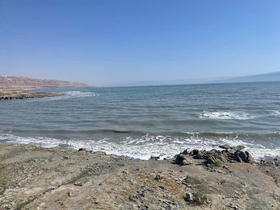 From Tel Aviv: Masada &Dead Sea Tour INCLUDING ENTRANCE FEES - Transport, group size, and the pace of the day