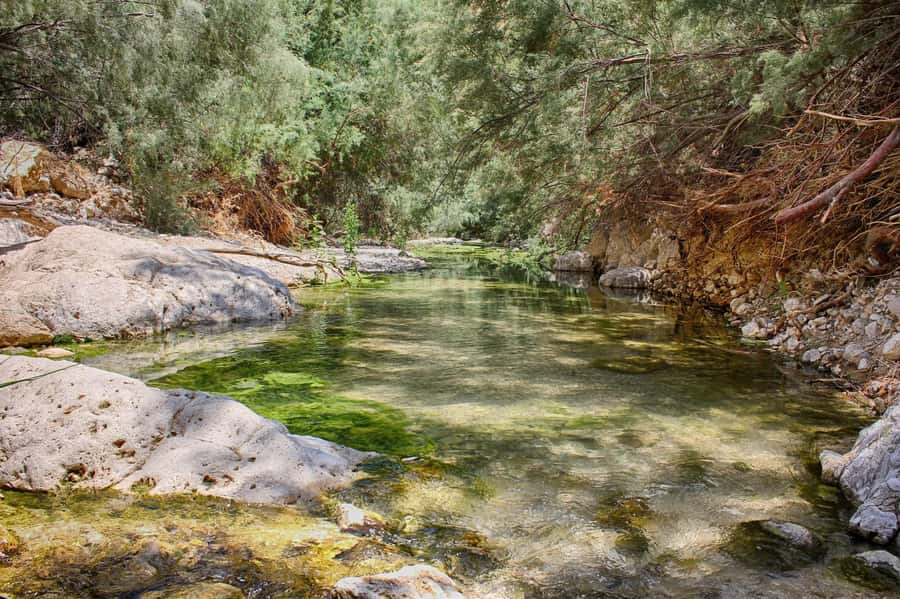 From Tel Aviv: Masada, Ein Gedi & Dead Sea Tour - Key Points at a Glance