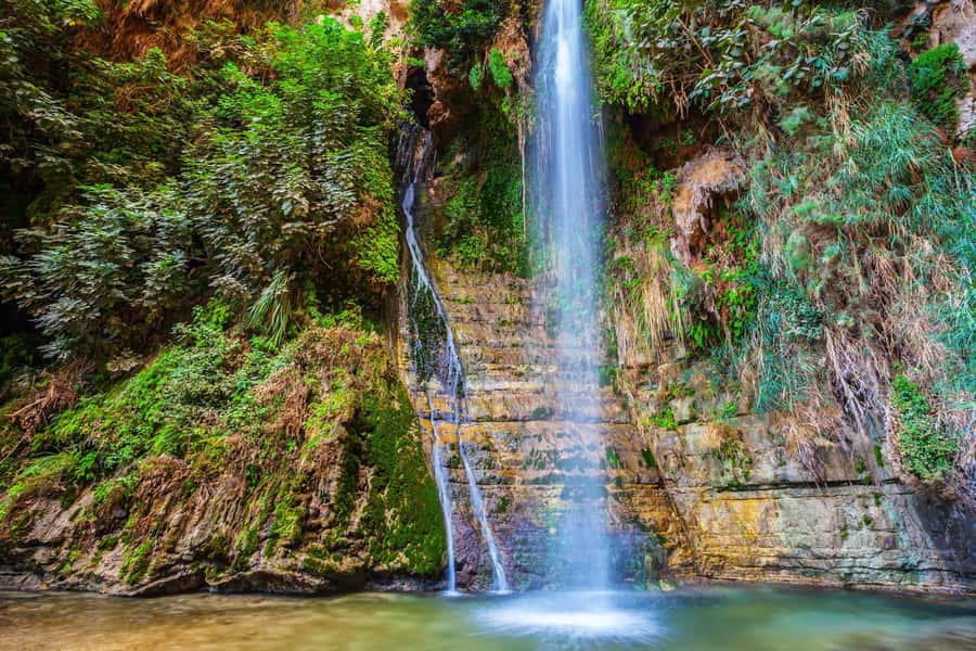 From Tel Aviv: Masada, Ein Gedi & Dead Sea Tour - The Day’s Pace and Coach Ride