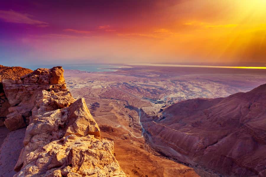 From Tel Aviv: Masada Sunrise, Ein Gedi and Dead Sea Tour - Ein Gedi brings water and wildlife to the desert
