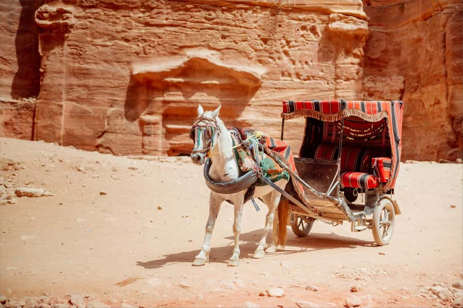 From Tel Aviv: Petra 1-Day Guided Tour with Transfers - Heat, clothing, and walking