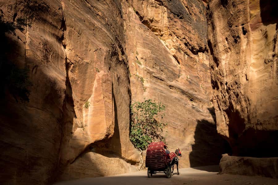 From Tel Aviv: Petra 2-Day Tour - Entering Petra through the Siq