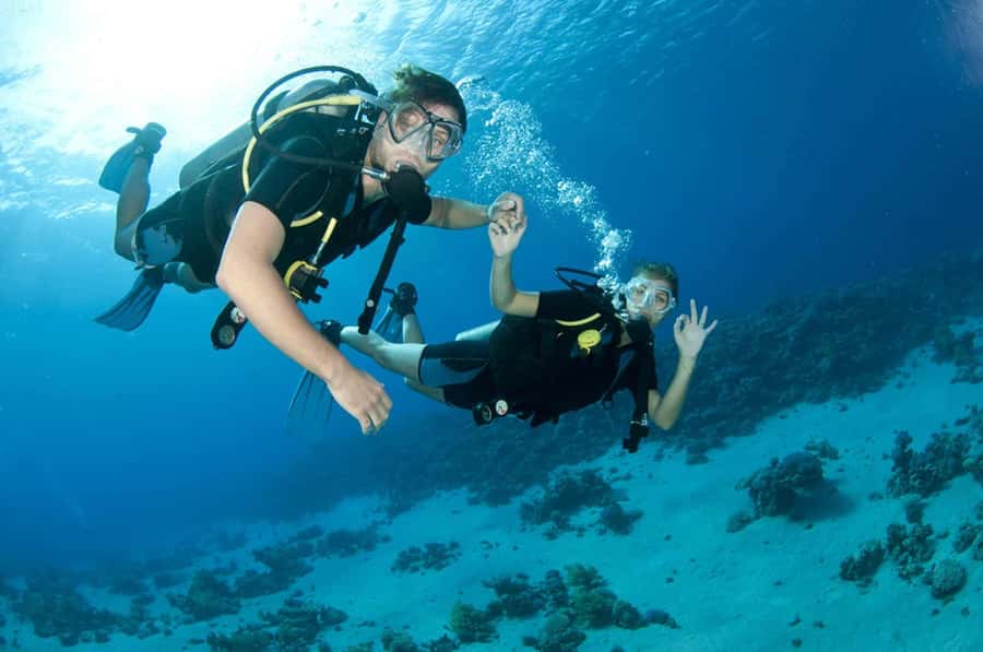 Fujairah: 2 Fun Dive Experience for Certified Divers - Key points to know before booking