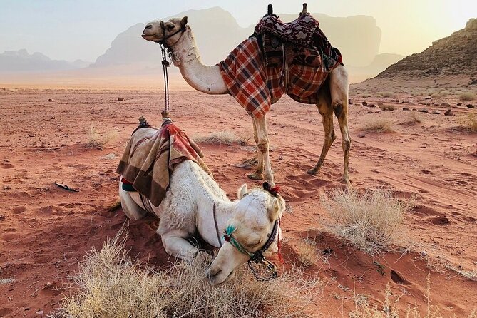 Full Day 4x4 Classic Desert Tour with overnight in private tent - Lawrence House and the stories behind the stone