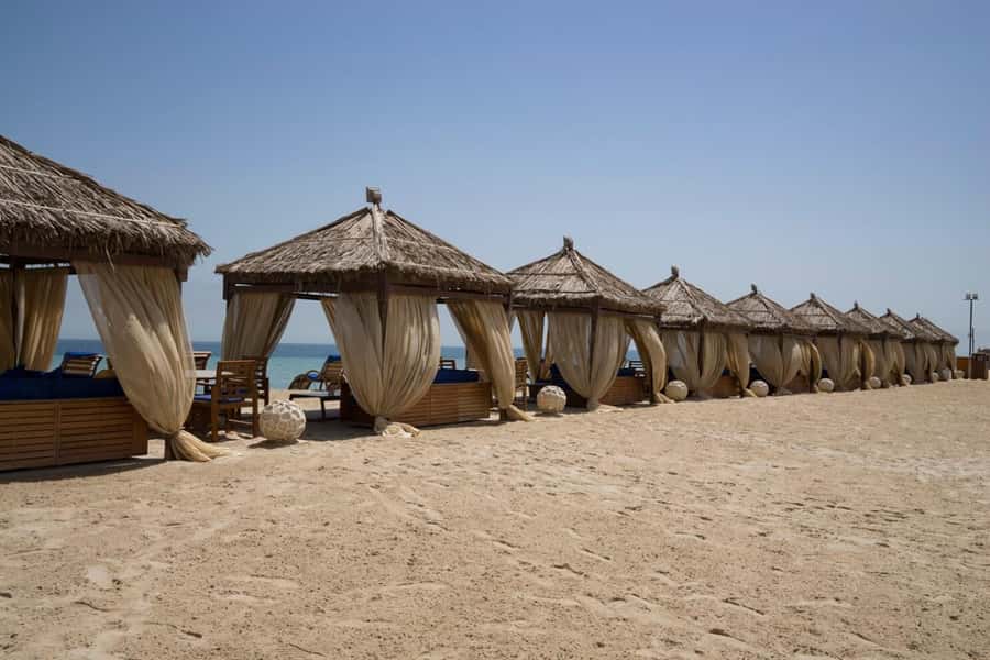 Full day desert safari with lunch or Dinner - What costs extra and what is included